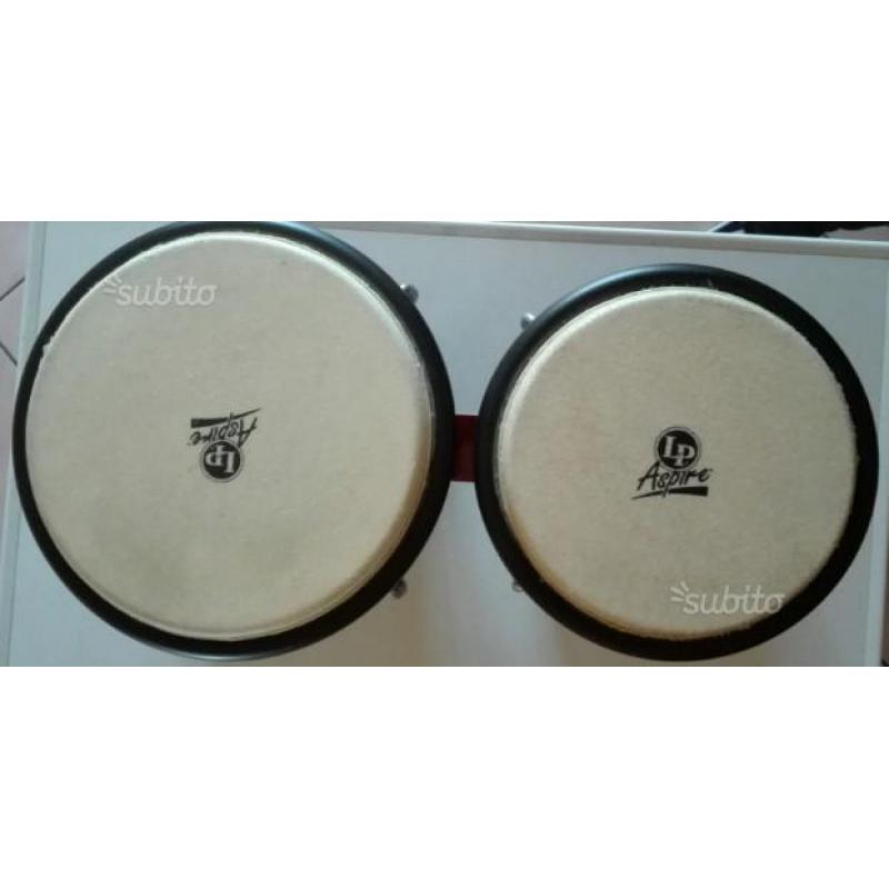 Latin percussion bongos aspire