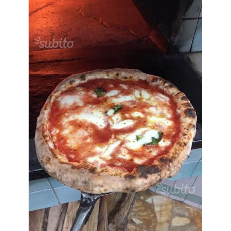 Pizzaiolo Napoli